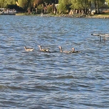 Gosciniec Twoje Mazury Nad Jeziorem Sniardwy Tuz Obok Plazy โนเวกูตี ภายนอก รูปภาพ